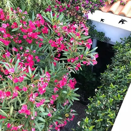 Casa Da Lucia 公寓